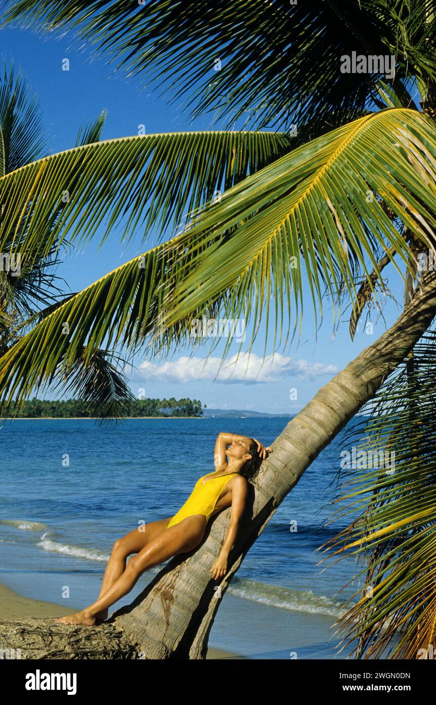 PUERTO RICO PORTO RICO dunkles Haar attraktive junge Frau, die Sonne auf Palme vor Strand, blauer Himmel Hintergrund Sommerferien gesunder Körper nimmt Stockfoto