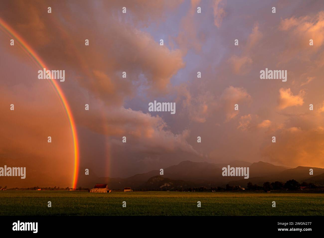 Regenbogen bei Sonnenuntergang vor den Bergen, Loisach-Kochelsee Moor, Oberbayern, Bayern, Deutschland, Europa Stockfoto