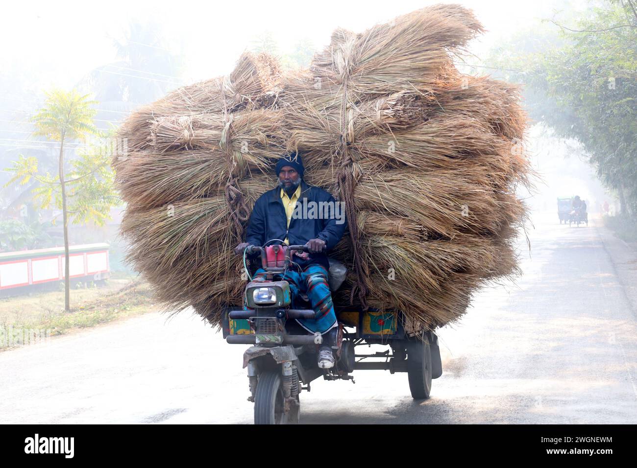 Tangail, Tangail, Bangladesch. Februar 2024. Ein Fahrer in Tangail lädt seinen dreirädrigen Van mit Paddy Stroh zum Verkauf auf den Markt. Paddy Stroh ist ein Nebenprodukt für Landwirte und sie verkaufen es an Großhändler für 5 bis 7 US-Dollar pro 100 kg. Das Stroh wird dann von den Großhändlern für zwischen 8 und 10 US-Dollar verkauft. Die Landwirte verwenden Heu als Futter und Einstreu für ihre Viehzucht. Stroh wird für verschiedene andere Zwecke verwendet, darunter für Haustüren und eine Form von Biokraftstoff. (Kreditbild: © Syed Mahabubul Kader/ZUMA Press Wire) NUR REDAKTIONELLE VERWENDUNG! Nicht für kommerzielle ZWECKE! Quelle: ZUMA Press, Inc./Alamy Live News Stockfoto