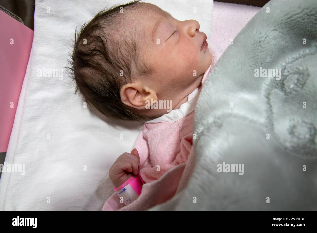 An ihrem ersten Lebenstag trägt ein neugeborenes Mädchen ein rosafarbenes Krankenhaus-ID-Armband an ihrer Hand Stockfoto