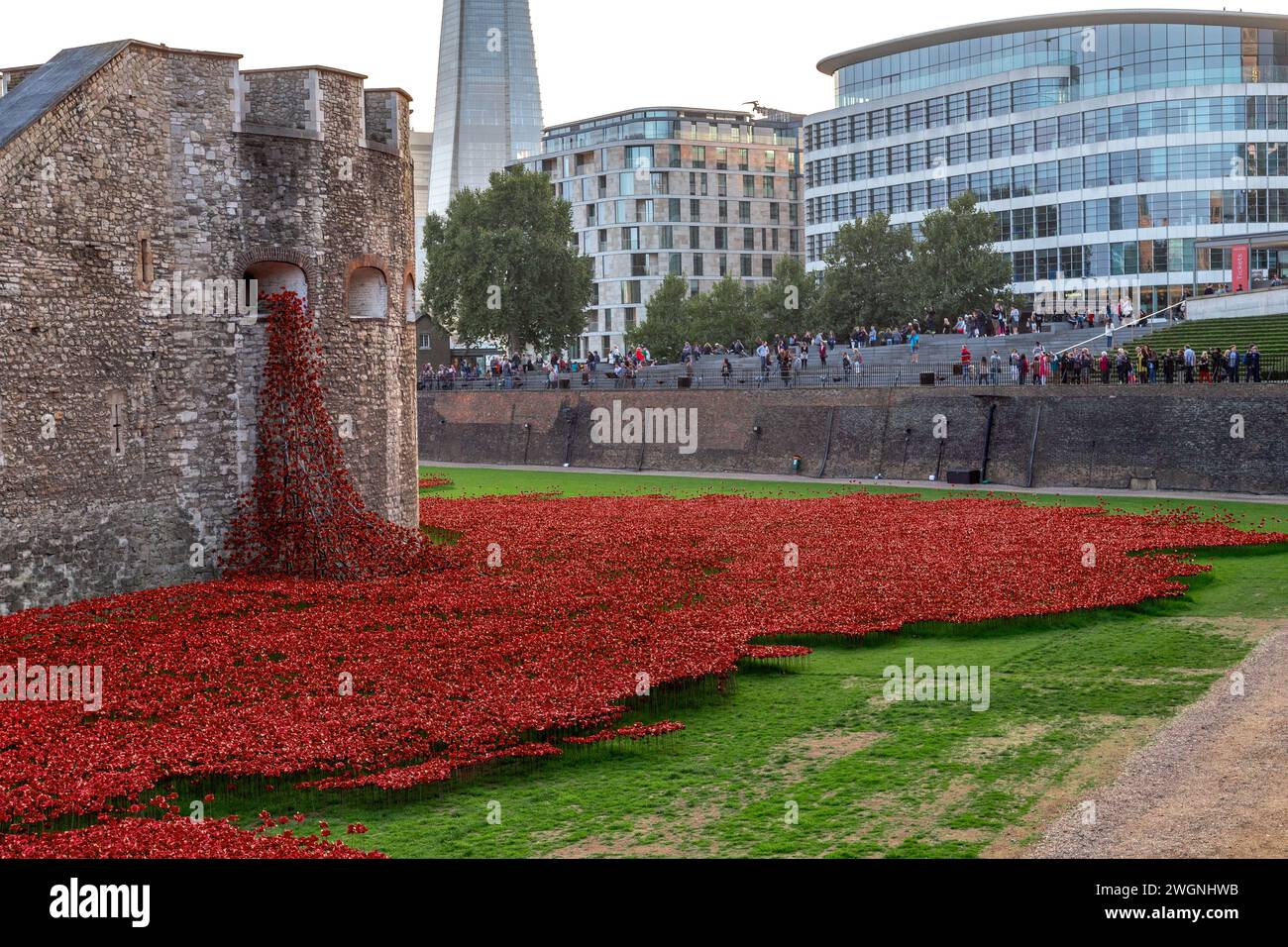 LONDON, GROSSBRITANNIEN - 21. SEPTEMBER 2014: Dies ist eine Installation aus roten Keramikmohn zur Erinnerung an die Toten des Ersten Weltkriegs in der moa Stockfoto