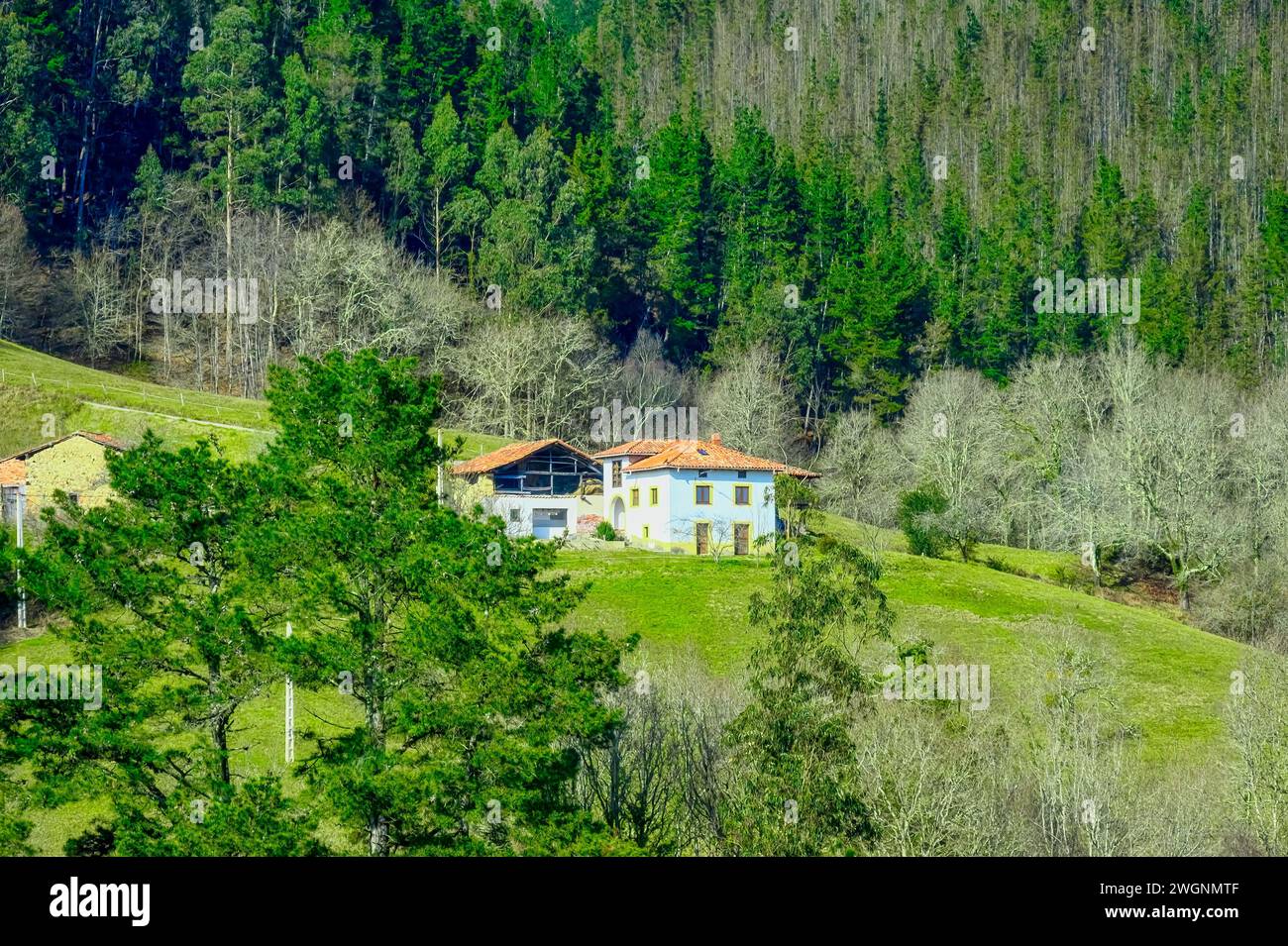 Außenansicht des ländlichen Gebäudes, Cofino, Asturien, Spanien Stockfoto