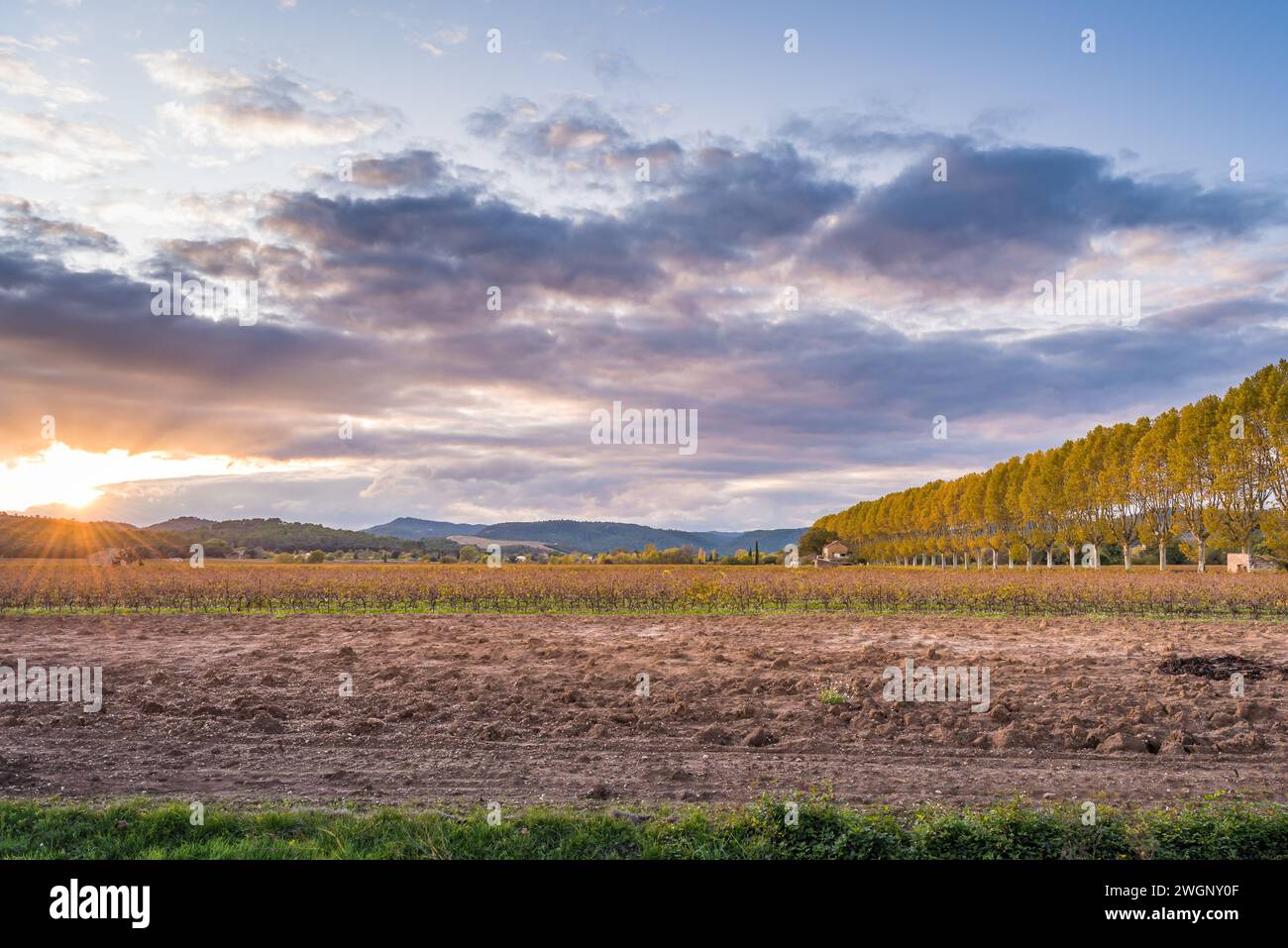 Landschaftlich schöner Blick auf die Weinberge in der Provence im Süden Frankreichs gegen den dramatischen Sonnenuntergang im Herbst Stockfoto