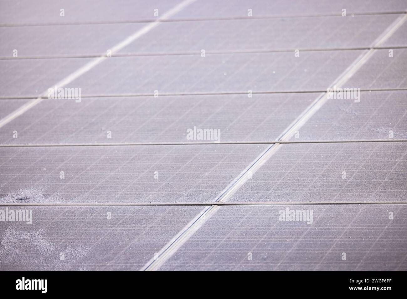 Einzelne Eissolarpaneele einer PV-Anlage für die Energiekrise, die im Winter im Sonnenlicht ausgesetzt ist Stockfoto