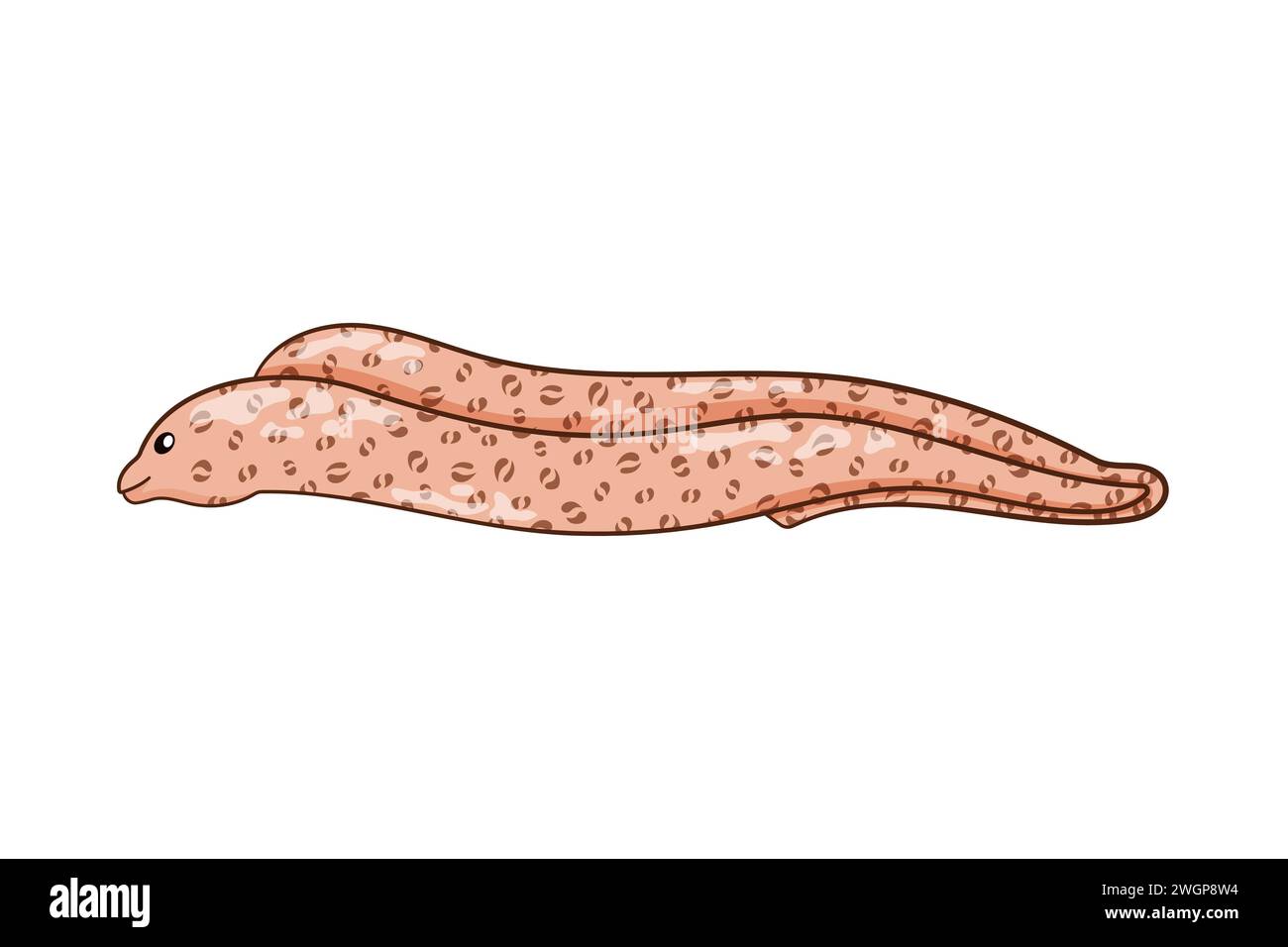 Moray Ael Charakter im Cartoon Art Stil. Unterwassertier mit langgestrecktem Körper. Unterwasserräuber. Vektorillustration auf weißem Hintergrund isoliert Stock Vektor