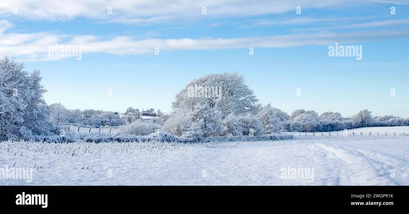 Blick über Felder im ländlichen Cumbria, England, nach starkem nächtlichem Schneefall, als der Himmel sich ablöste und einen sonnigen Nachmittag und blauen Himmel hinterließ. Stockfoto