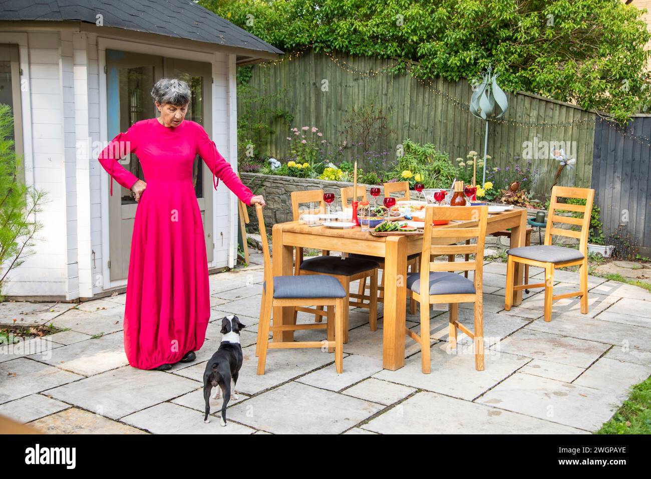 Eine ältere Frau, die den Tisch legt, hört auf, mit ihrem Hund zu reden Stockfoto