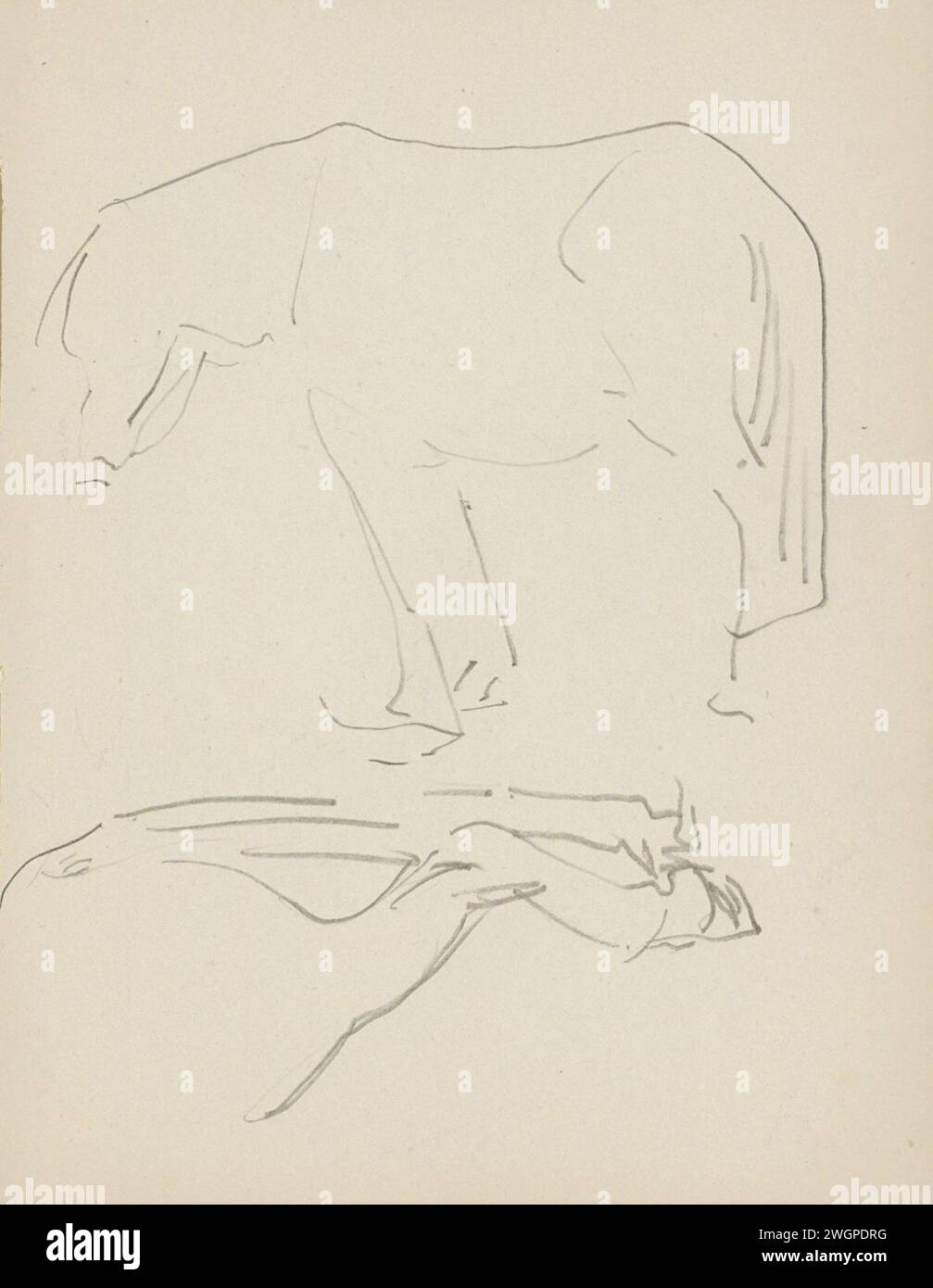 Pferd und Hinterbeine eines Pferdes, 1906 - 1945 Seite 23 Recto aus einem Skizzenbuch mit 69 Blättern. Papier. Bleistiftpferd Stockfoto