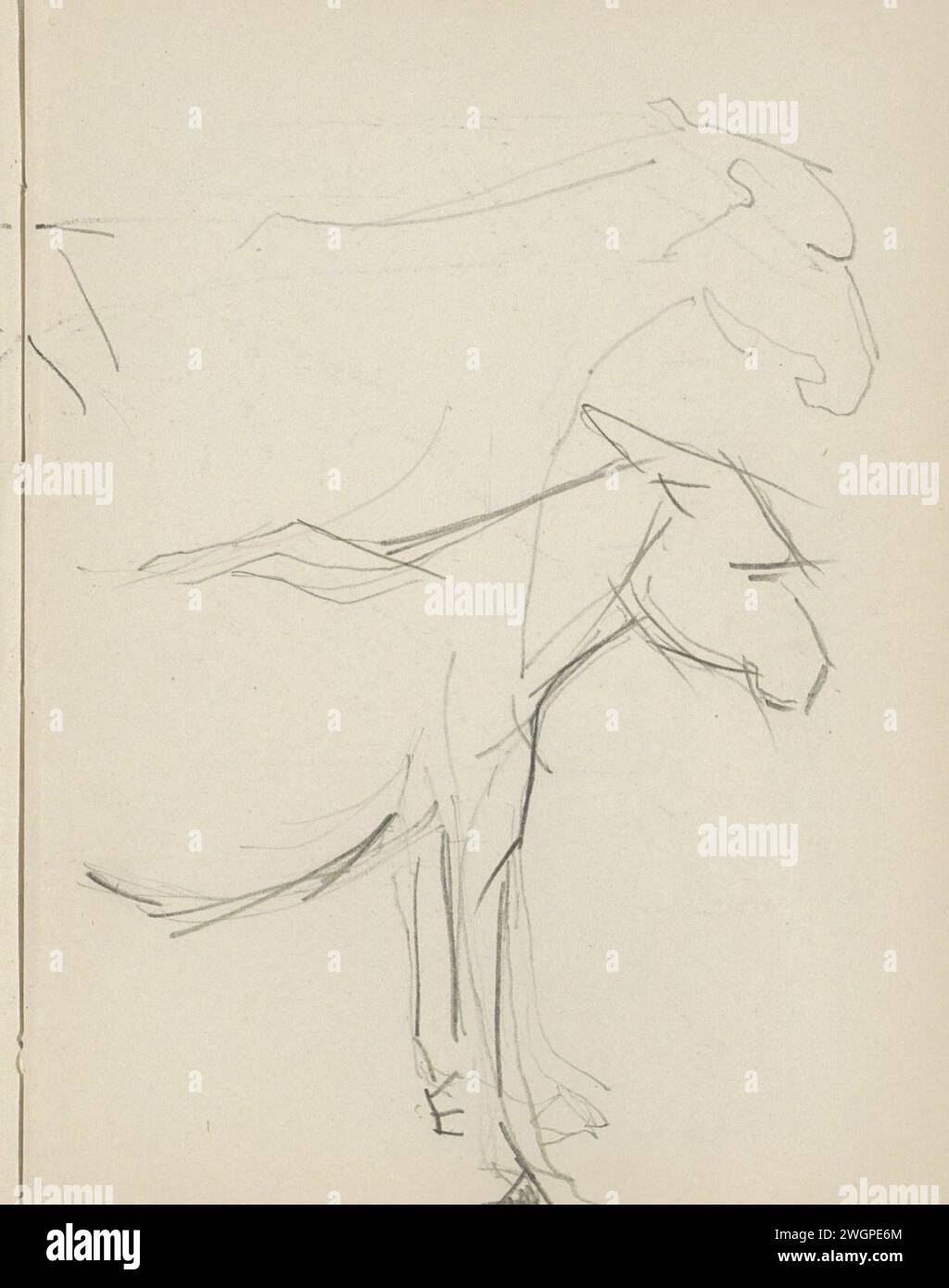 Ezel, 1906 - 1945 Seite 17 Recto aus einem Skizzenbuch mit 69 Blättern. Papier. Bleistiftmuschel Stockfoto