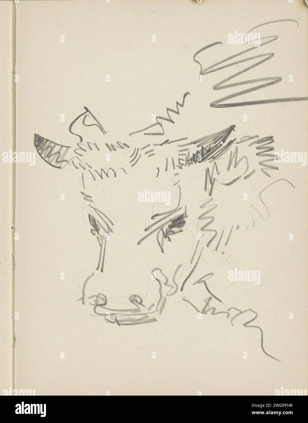 Kop van A Cow, 1906 - 1945 Seite 27 Recto aus einem Skizzenbuch mit 69 Blättern. Papier. Bleistiftkuh Stockfoto