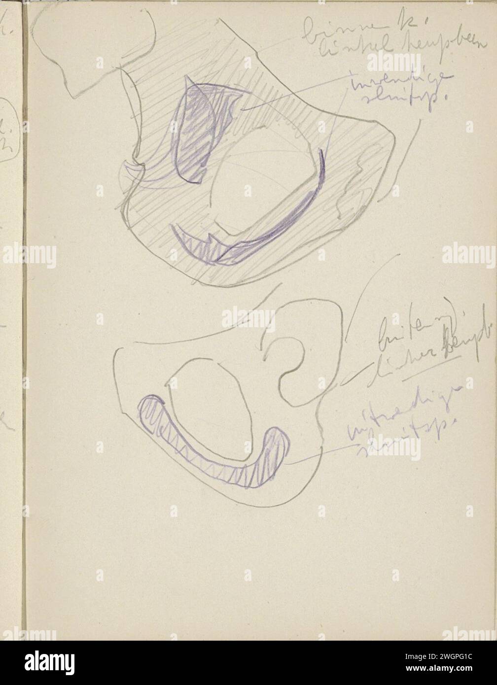 Innerhalb und außerhalb eines Hüftknochens, 1906 - 1945 Seite 62 Recto aus einem Skizzenbuch mit 69 Blättern. Papier. Bleistiftskelett Stockfoto