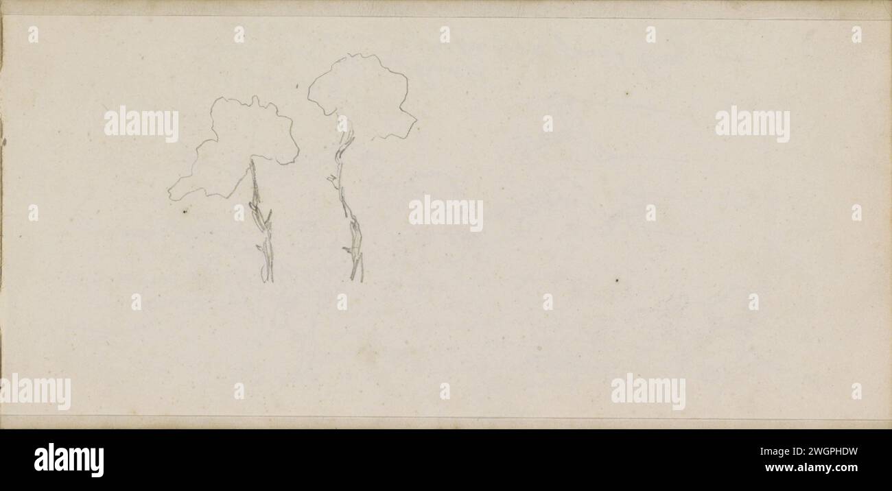 Two Trees, 1840 - 1868 Seite 47 Recto aus einem Skizzenbuch mit 63 Blättern. Papier. Bleistiftbäume Stockfoto