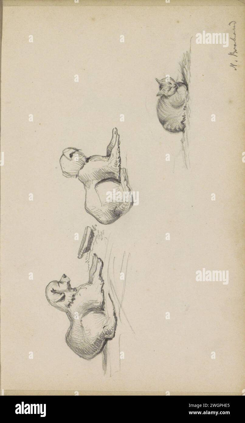 Hunde und Katze, 1839 - 1872 Seite 42 Recto aus einem Skizzenbuch mit 73 Blättern. North Brabant Papier. Bleistifthund. Kat Stockfoto
