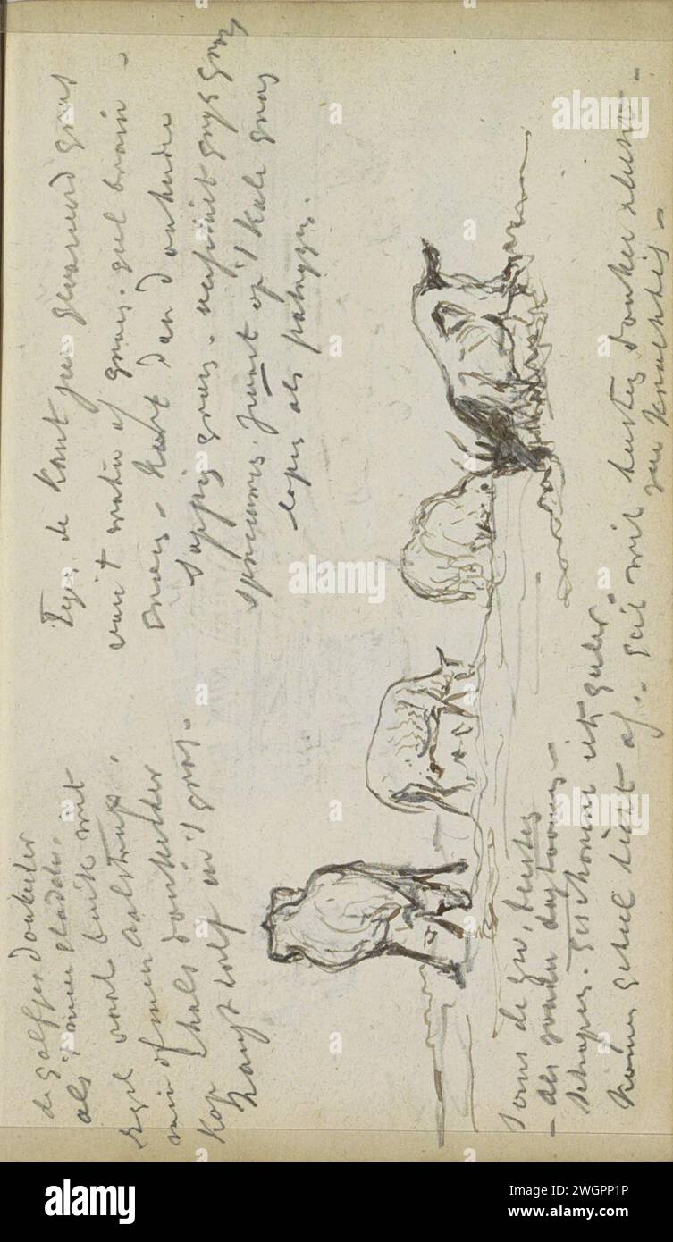 Weideschaf und Ziege, 1862 Seite 63 Recto aus einem Skizzenbuch mit 88 Blättern. Papier. Tinte. Bleistiftstift Schafe. Ziege Stockfoto