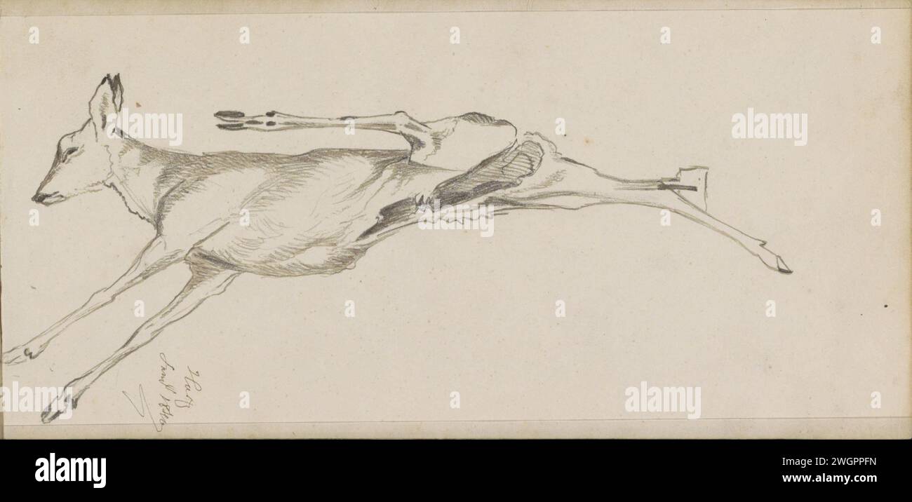 Hängende Dead Ree, 1840 Seite 51 Recto aus einem Skizzenbuch mit 63 Blättern. Harzpapier. Tinte. Bleistiftschreiber Huftiere: Hirsch Stockfoto