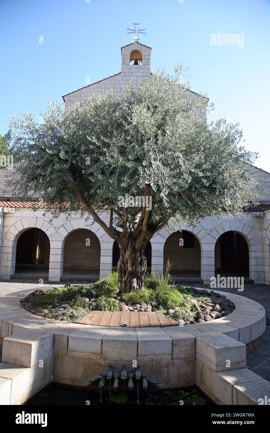 Kirche der Vermehrung von Broten und Fischen, See von Galiläa, Tabgha, Israel Stockfoto