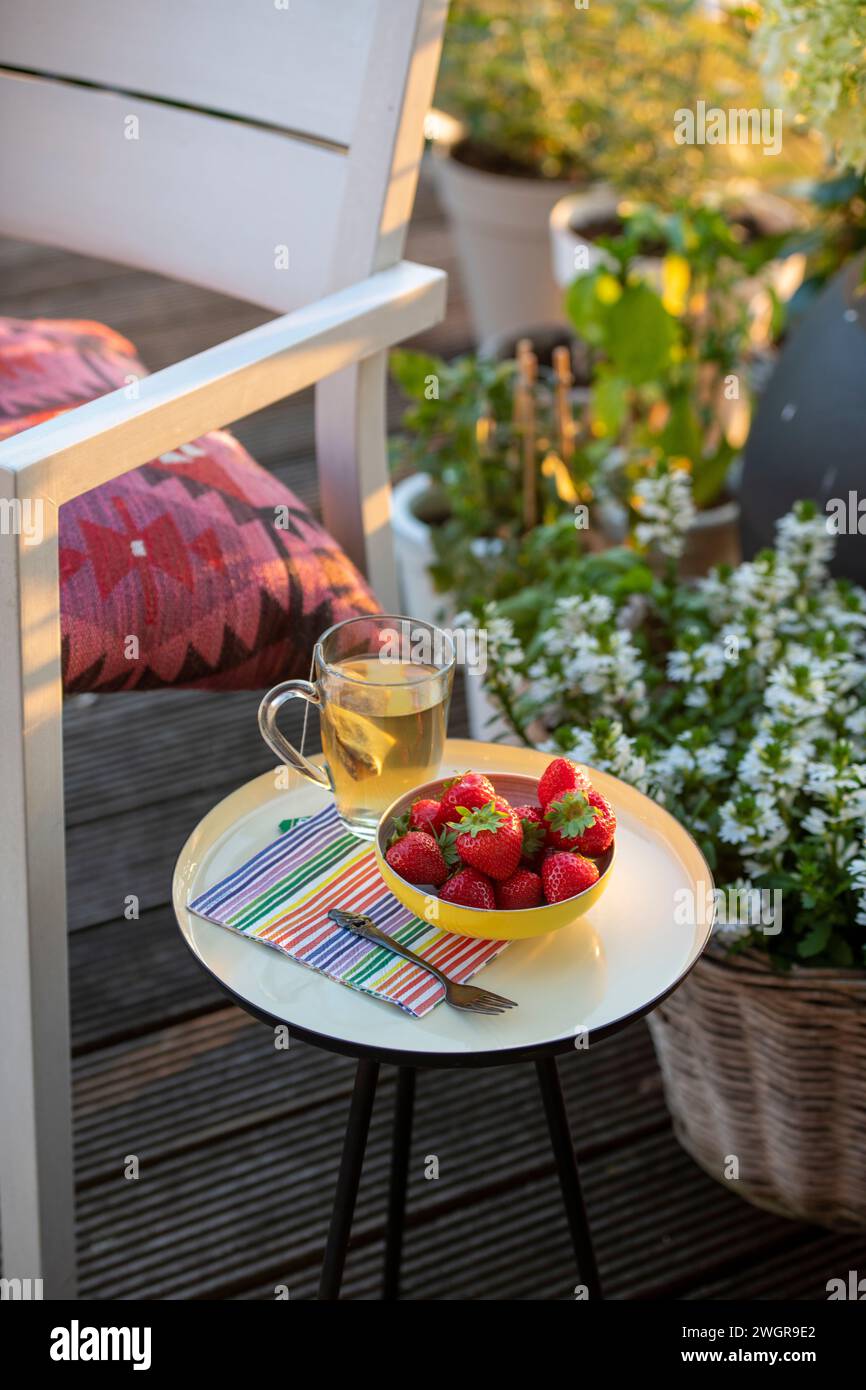 Tee und Erdbeeren auf einem schönen Tisch in der Sommersonne. Garten und Kräuter in voller Blüte, Blumen. Stockfoto