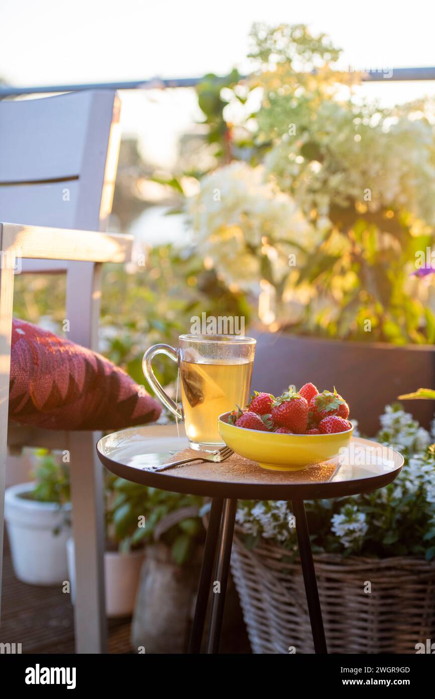 Tee und Erdbeeren auf einem schönen Tisch in der Sommersonne. Garten und Kräuter in voller Blüte, Blumen. Stockfoto