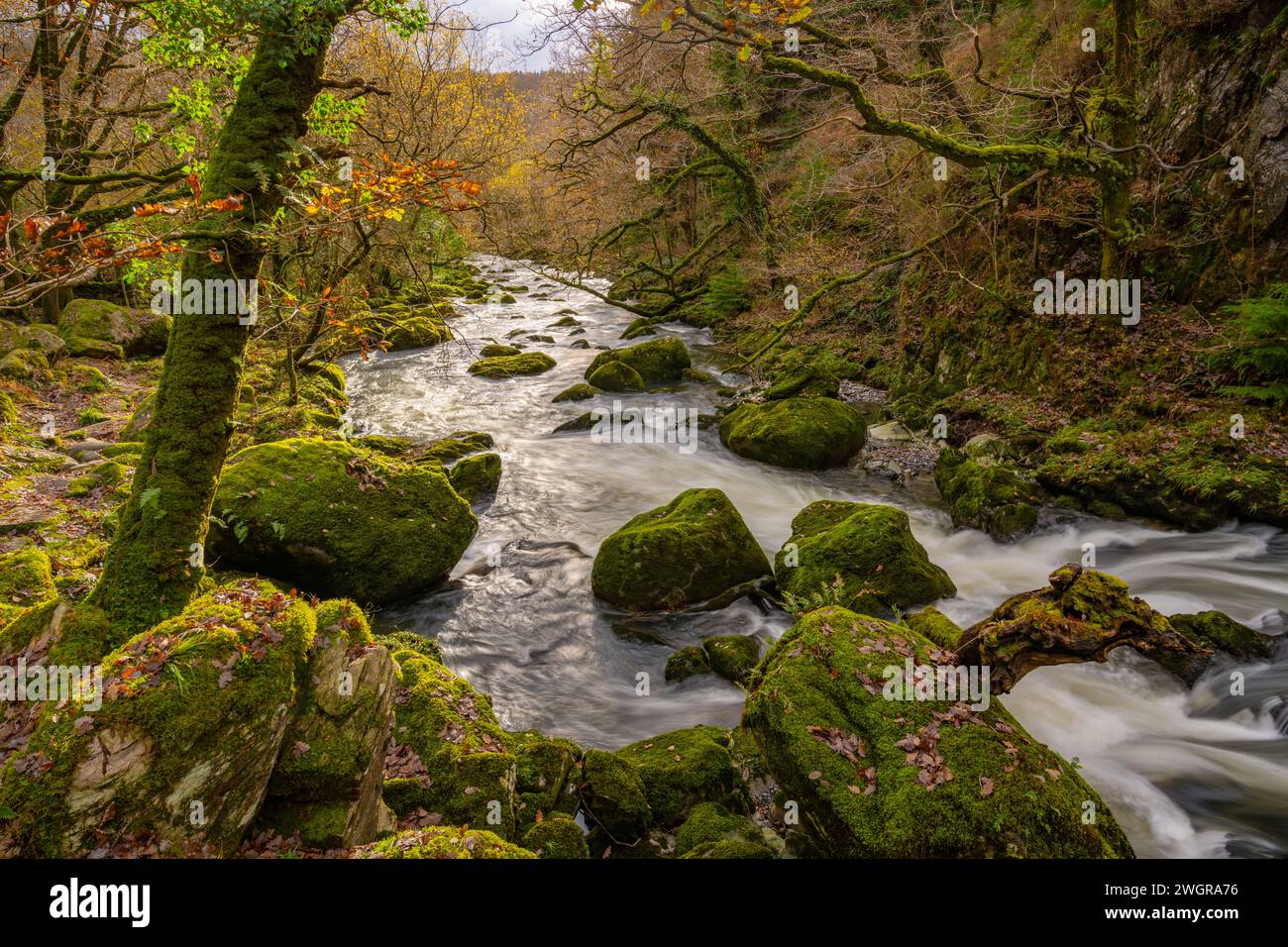 Der Afon Dwyryd River im Eryri Nationalpark (Snowdonia) zwischen Blaenau Ffestiniog und Maentwrog Stockfoto
