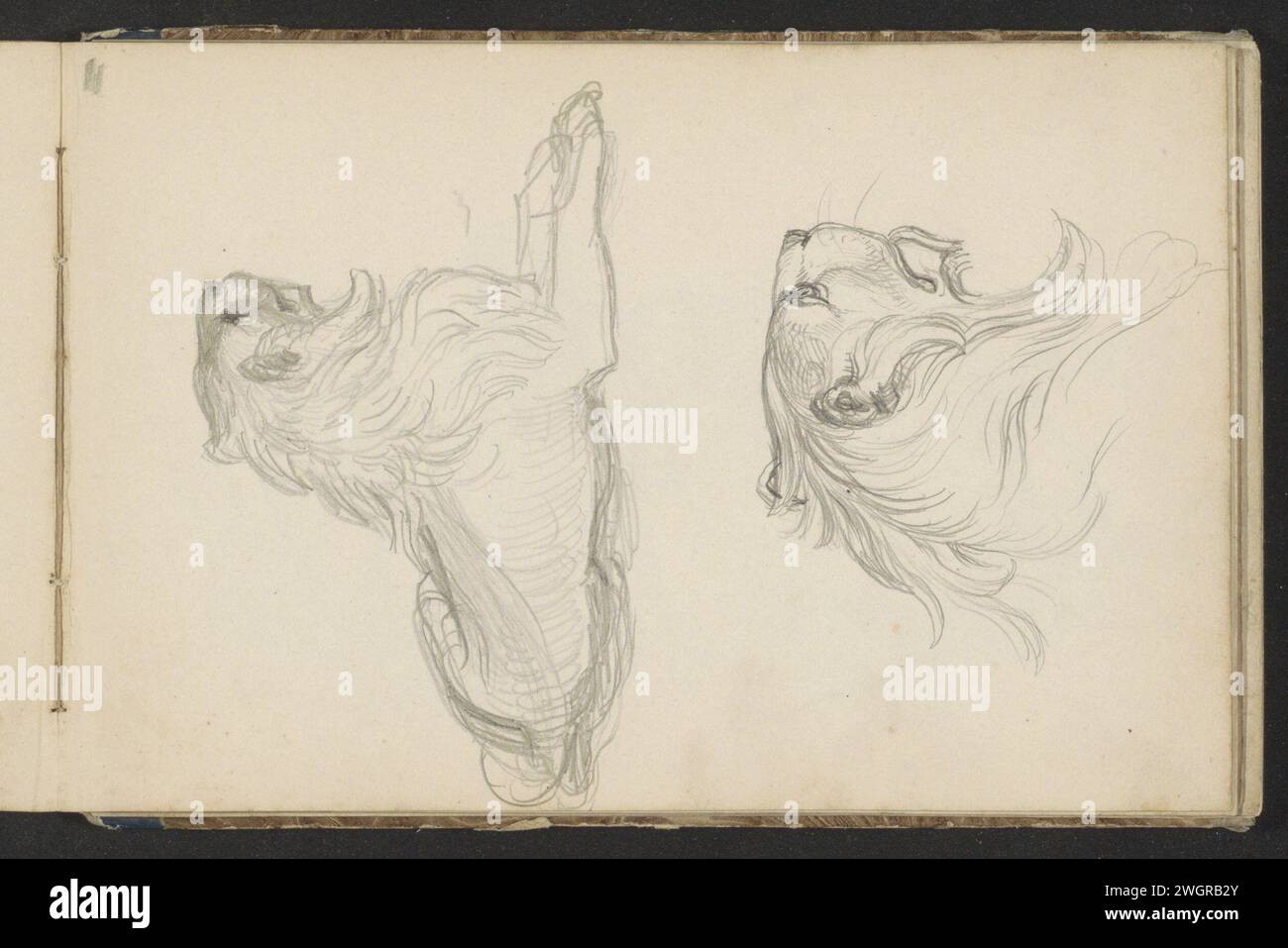 Löwe und Löwenkopf, ca. 1841 Seite 11 Recto aus einem Skizzenbuch mit 33 Blättern. Papier. Bleistifttiere der Beutetiere, Raubtiere: Löwe Stockfoto