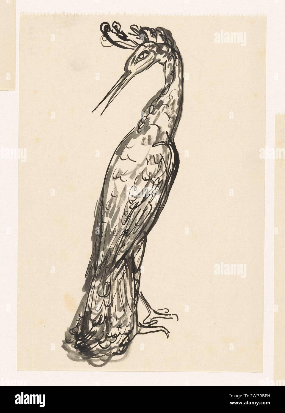 Heron mit umgedrehtem Kopf, Leo Gestel, 1891–1941 Zeichnung Papierpinsel Ufervögel und Watvögel: heron Stockfoto