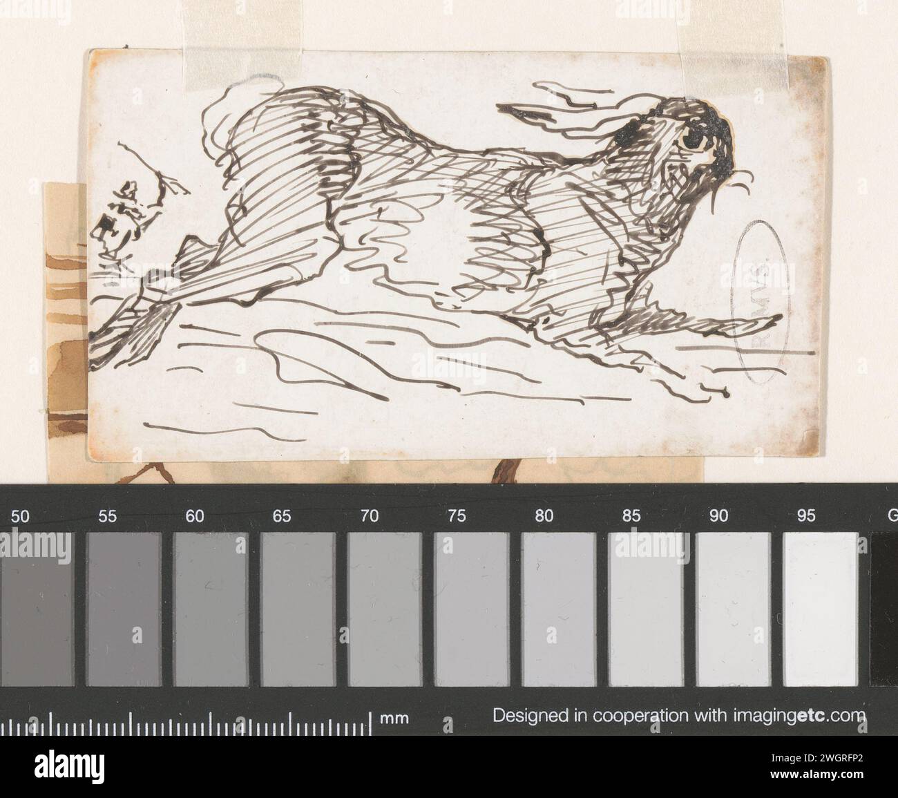 Haas, Johannes Taventrate, 1870 Hase zeichnen. Signiert auf der Rückseite einer Visitenkarte von N. Engers. "Tintenstift Nagetiere: hase Stockfoto