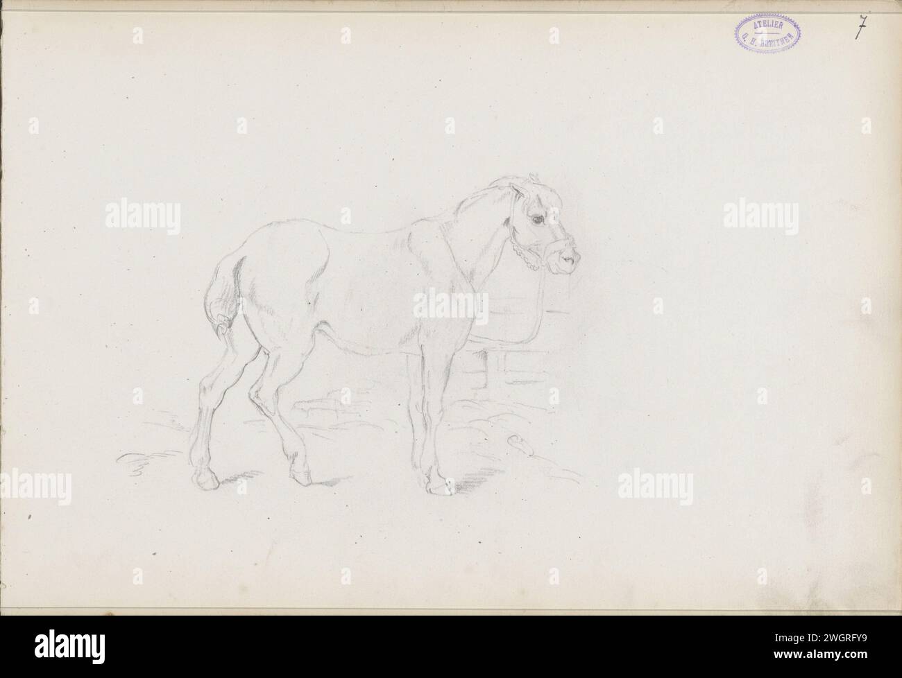 Stehendes Pferd mit Zaumzeug, George Hendrik Breitner, 1872 Seite 7 Recto aus einem Skizzenbuch mit 32 Blättern. Rotterdam Papier. Bleistiftpferd Stockfoto