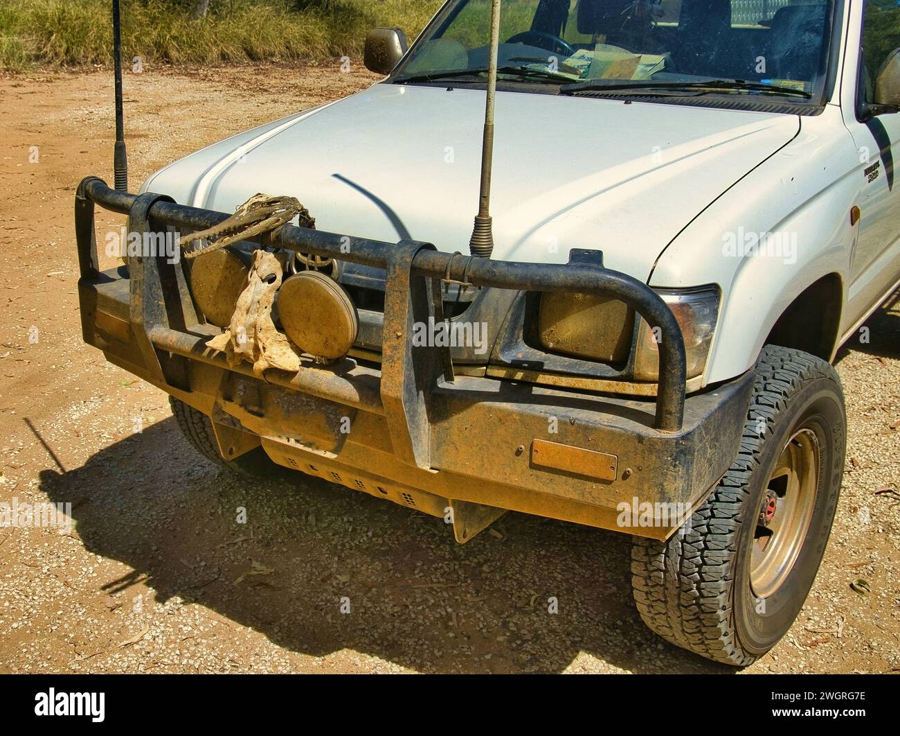 Schlammbespritzte Front eines SUV, Känguru-Bar mit dem Schädel eines australischen Krokodils in einem Roadhouse im Outback von Western Australia Stockfoto