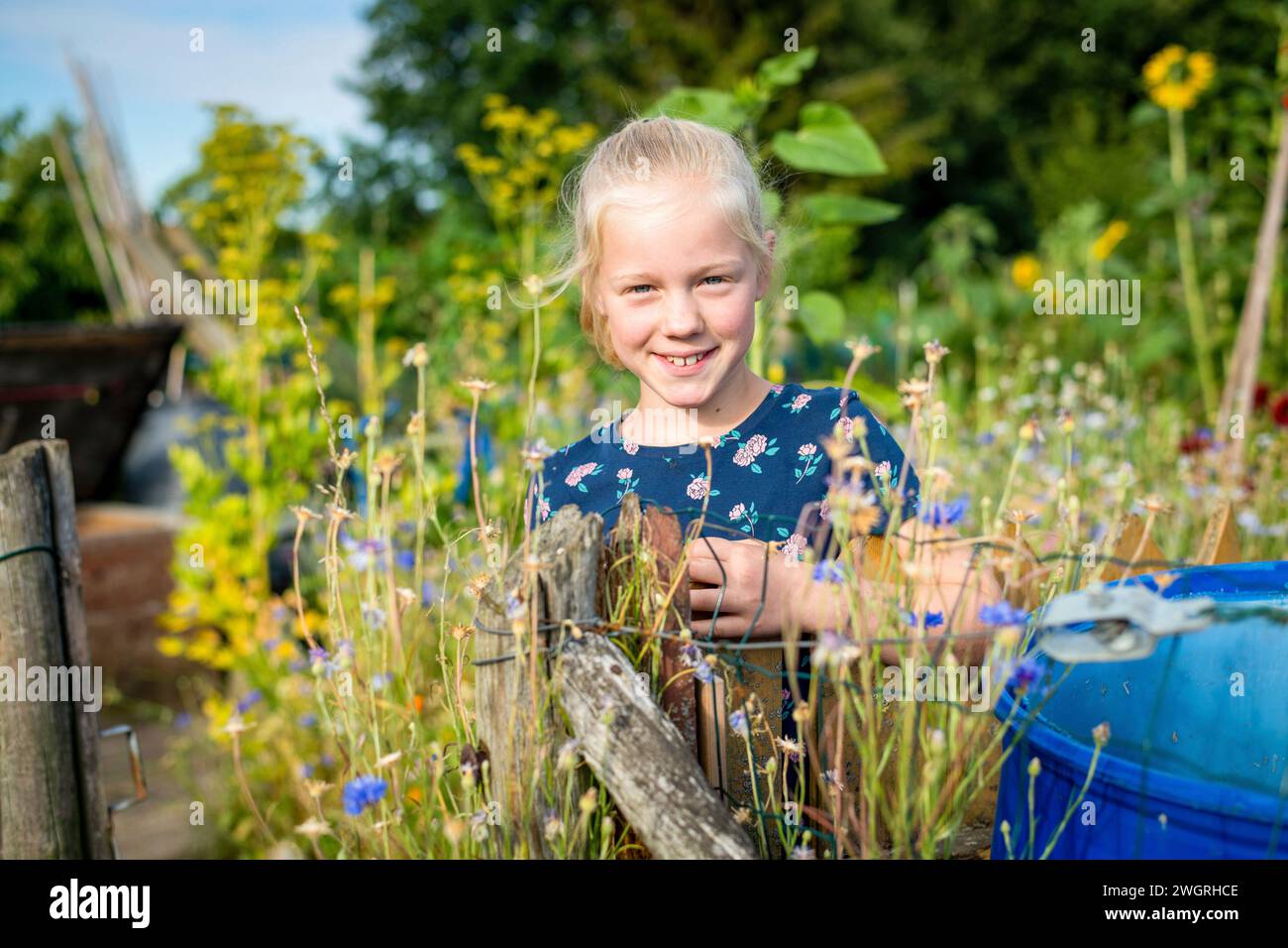 Porträt eines jungen Mädchens, das in ihrem Kleingarten steht, umgeben von blühenden Wildblumen im Sommer. Stockfoto