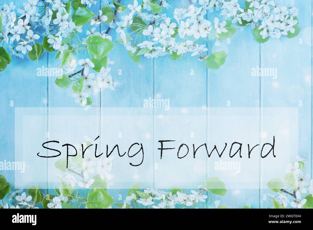 Ein Schild mit einem schönen Frühlingsbaum blüht vor einem friedlichen blauen rustikalen hölzernen Hintergrund. Bild, das von oben in einem flachen Tisch auf aufgenommen wurde Stockfoto