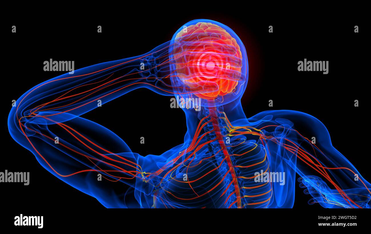 Gefühlskopfschmerzanatomie für medizinische Konzeptbildgebung Stockfoto