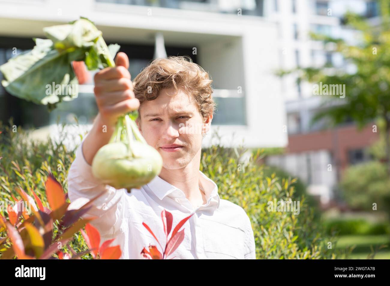 Junger Mann, der einen Kohl in der Hand seines Gartens hält Stockfoto