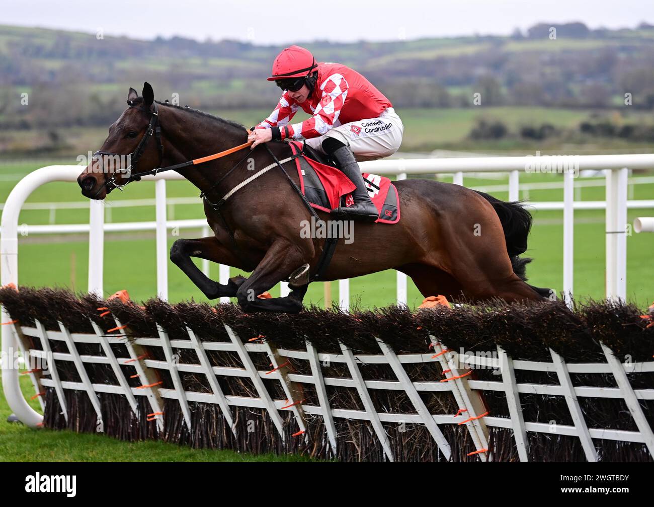 Dateifoto vom 25.11.2023 von Mighty Bandit, der Warren Greatrex beim Cheltenham Festival im nächsten Monat für die Triumph-Hürde trainieren wird, nachdem er beim hochkarätigen Tattersalls Ireland-Verkauf am Montag im Fairyhouse den Besitzer für 420.000 Euro wechselte. Ausgabedatum: Dienstag, 6. Februar 2024. Stockfoto