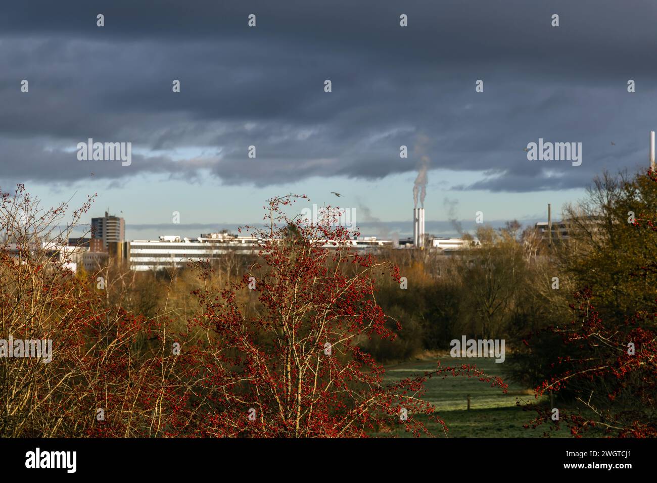 Wunderschöner Blick auf die Herbstlandschaft mit einer dramatischen Regenwolke und einem Industriegebäude im Tal. Stockfoto