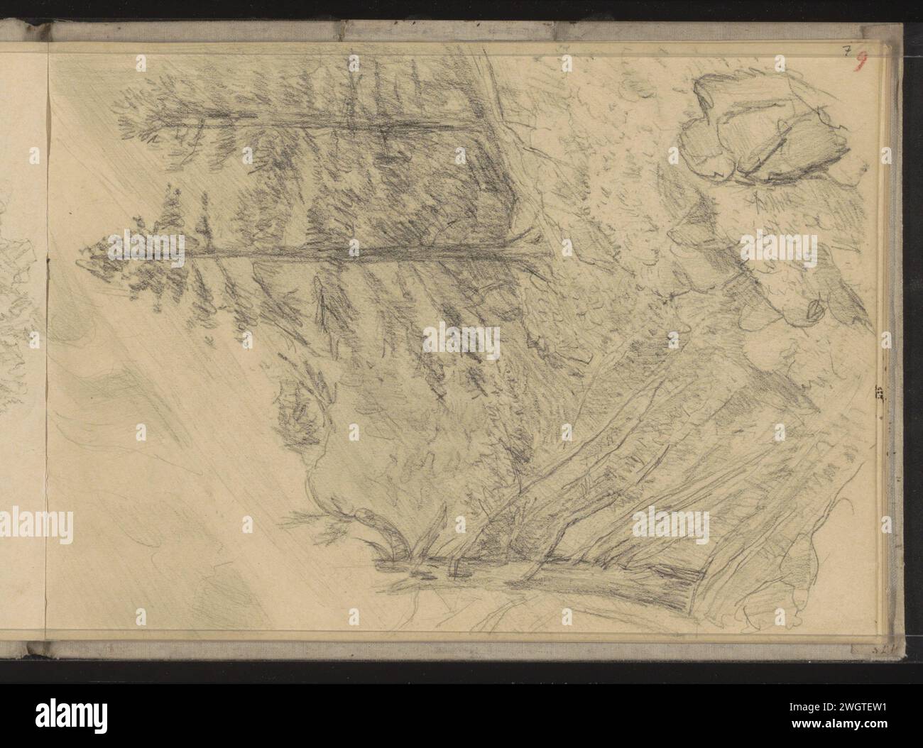 Berglandschaft mit Kiefern und Felsbrocken, 1834 - 1911 Seite 7 Recto aus einem Skizzenbuch mit 18 Blättern. Papier. Bleistiftberge. Bäume: Kiefer. boulder, Stein Stockfoto