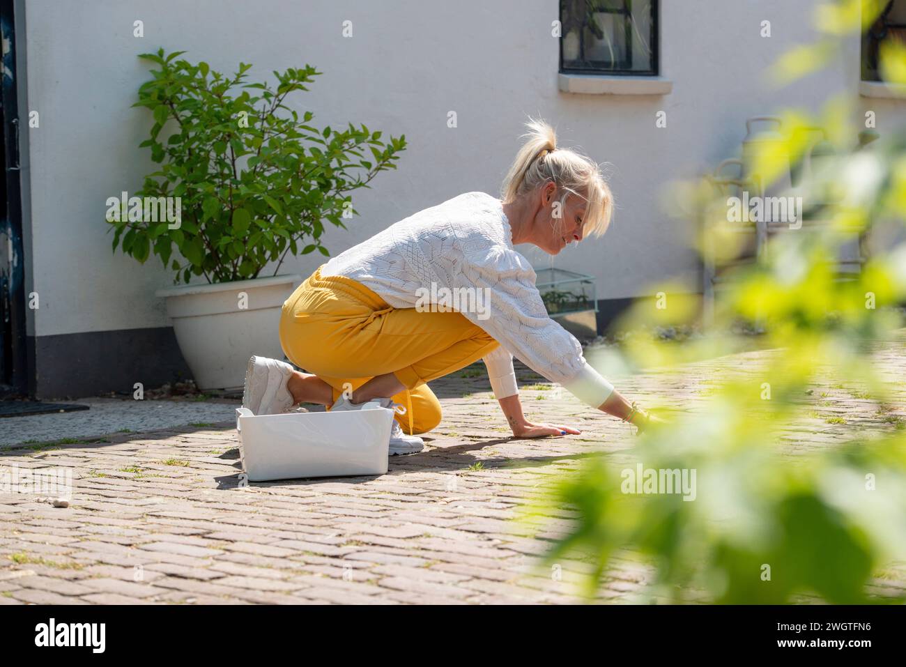 Attraktive Frau, die am Wochenende in ihrer Freizeit im Garten arbeitet und den Weg der Unkrautjäte pflegt. Stockfoto