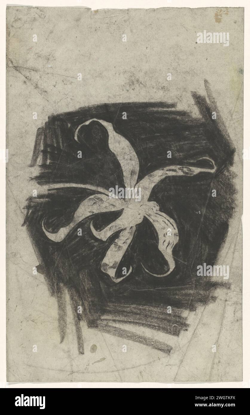 Orchidee, Carel Adolph Lion Cachet, 1874–1945 Zeichenpapier. Blumen: orchidee Stockfoto