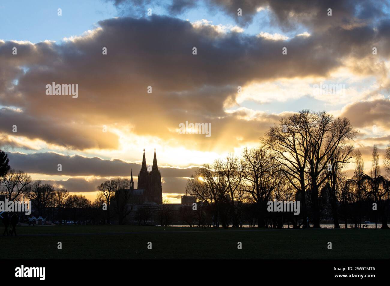 Blick vom Rheinpark im Stadtteil Deutz über den Rhein bis zum Dom, Köln. Blick vom Rheinpark in Deutz ueber den Rhein zu Stockfoto