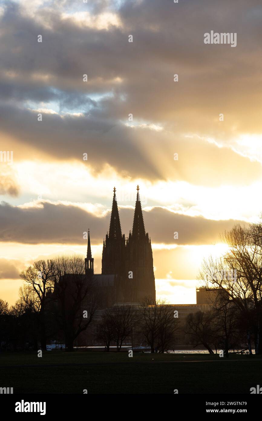 Blick vom Rheinpark im Stadtteil Deutz über den Rhein bis zum Dom, Köln. Blick vom Rheinpark in Deutz ueber den Rhein zu Stockfoto