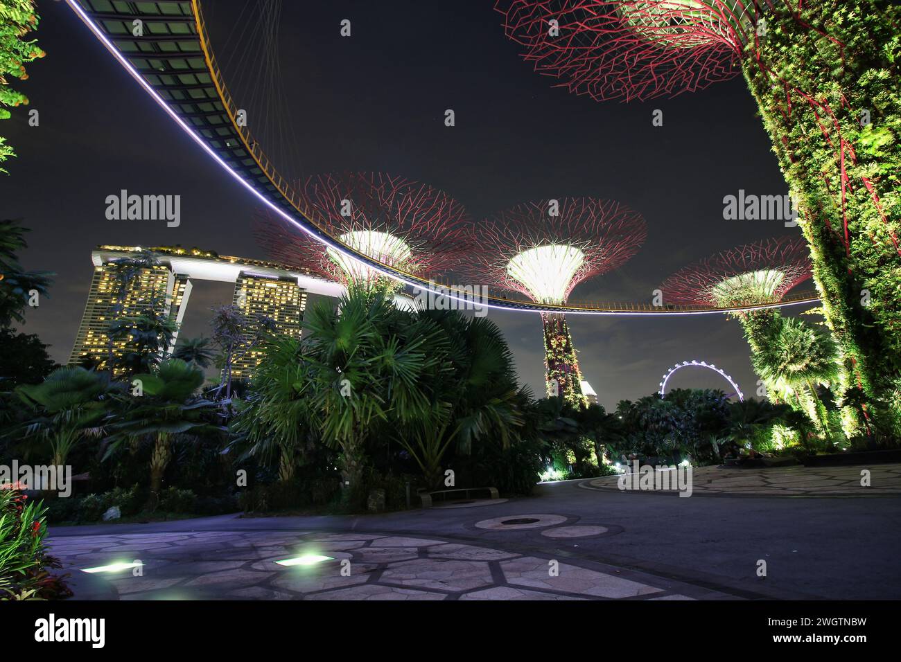 Ein beleuchteter Fußweg verbindet die berühmten Supertrees in den Gardens by the Bay, Marina, Singapur Stockfoto