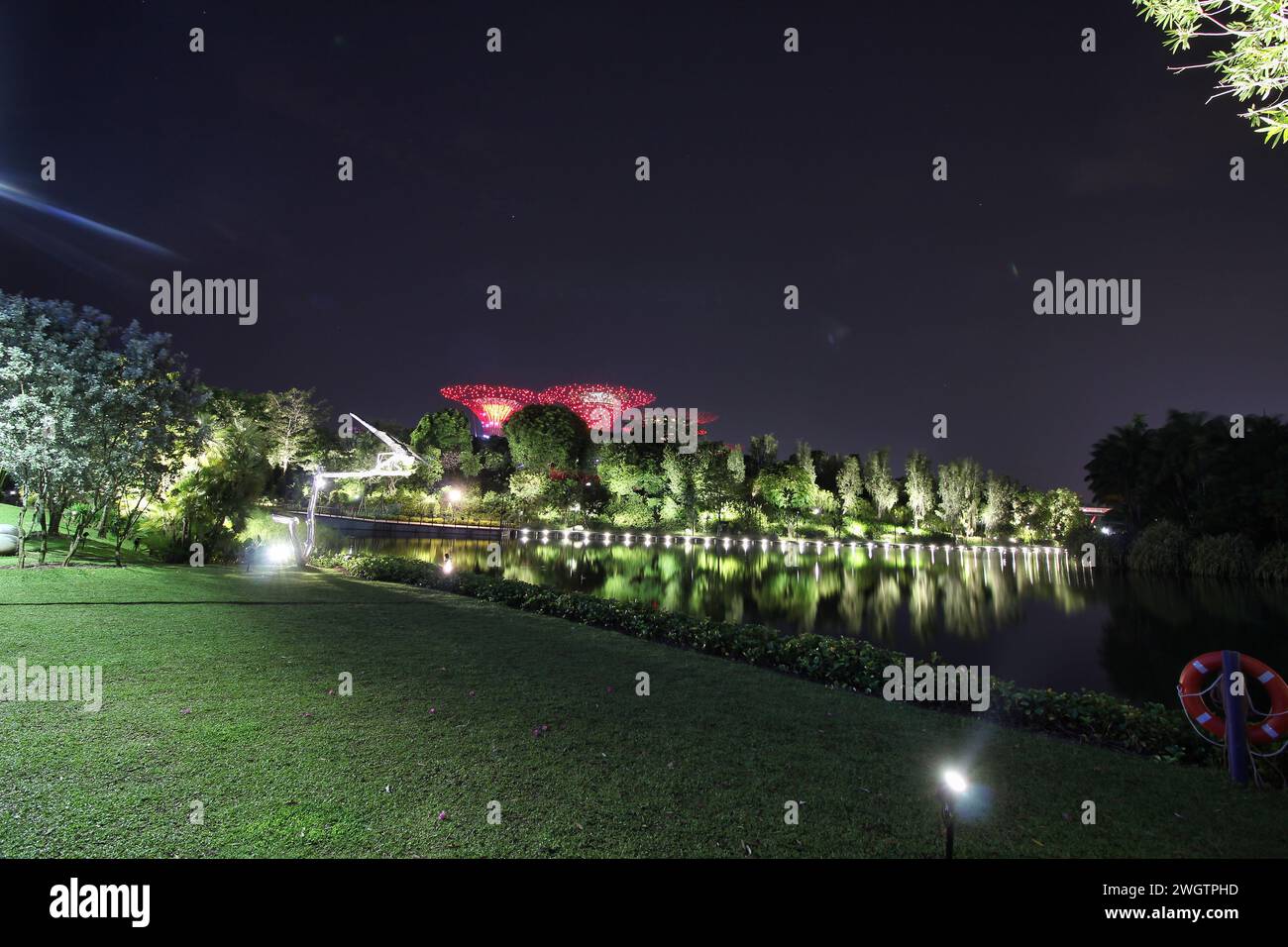 Ein angenehmer Blick auf die berühmten Superbäume und den Pool in Singapurs Gärten an der Bucht bei Nacht in Singapur Stockfoto