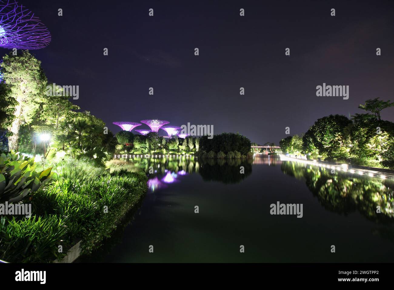 Ein angenehmer Blick auf die berühmten Superbäume und den Pool in Singapurs Gärten an der Bucht bei Nacht in Singapur Stockfoto