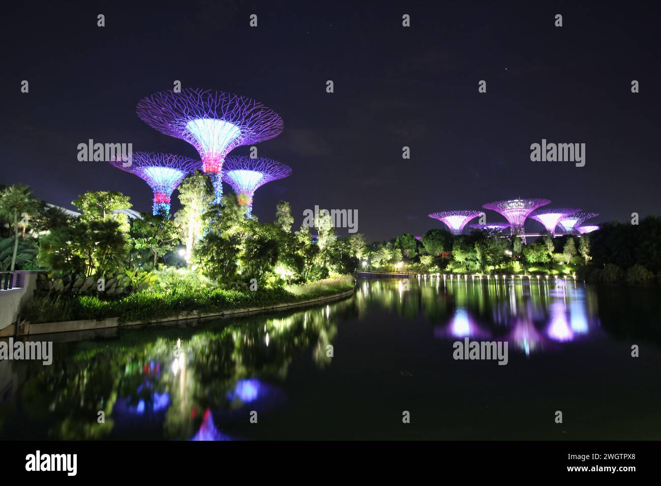 Ein angenehmer Blick auf die berühmten Superbäume und den Pool in Singapurs Gärten an der Bucht bei Nacht in Singapur Stockfoto