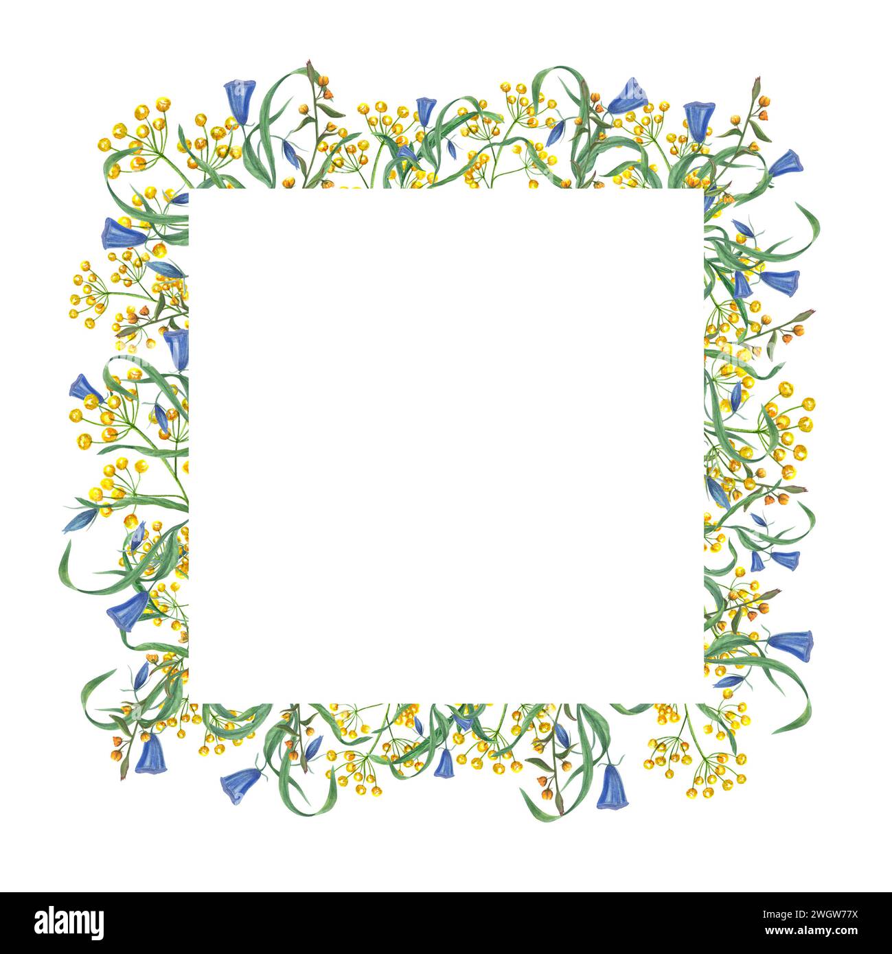 Frühlingswiesen Blumen. Quadratischer Rahmen mit Kopierraum für Text. Gelbe, blau blühende Blumen. Aquarell-Geburtstagsillustration. Für Grußkarten Stockfoto