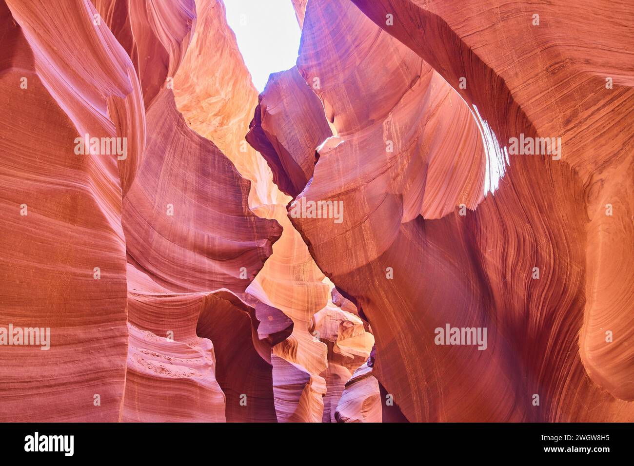 Antelope Canyon Sandstone Elegance - Lightplay im Arizona Slot Canyon Stockfoto