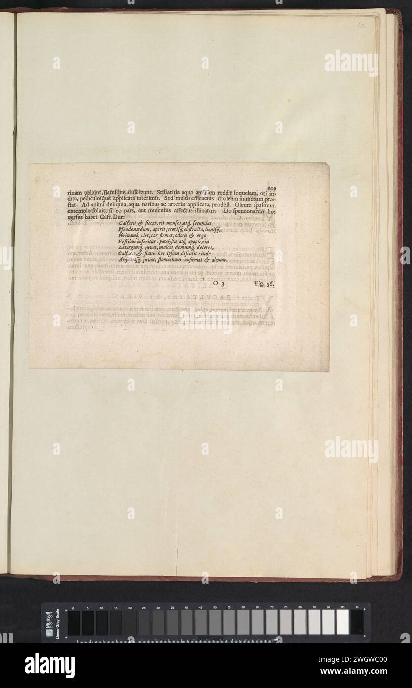 Abb. 55 'de Lavendvla' im Herbarium der Bücher von 1640, Anselmus Boëtius de Boodt, 1640 Textblatt Beschrijving bij Abb. 55 op. 109 in: Anselm Boë de Boot I. C. Brugensis & Rodolphi 2. Imp. Roman. Arzte aus den Schlafzimmern von Blumen, Kräutern und Früchten von selectior Icons, und die Stärke des Unbekannten. Onderdeel van het Album Met Bladen en platen verschickt de Boodts Herbarium van 1640. Het twaalfde van twaalf Alben Met Aquarellen van dieren, vogels en planten bekend Rond 1600, gemaakt in Opdracht van Keizer Rudolf 2. Gebrauchtes Papier. Tintendruck im Buchdruck Stockfoto