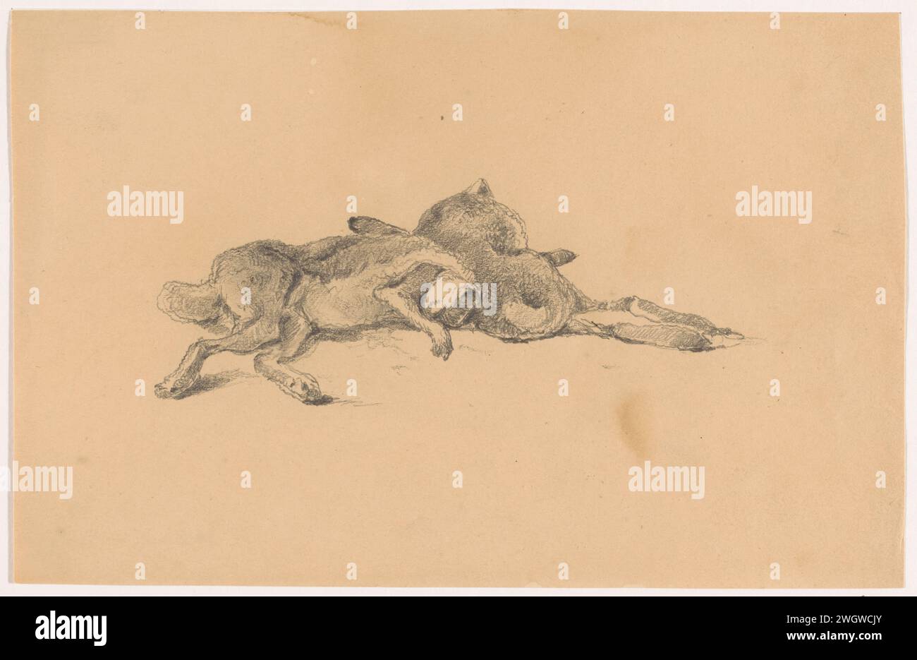 Nur wenige Hasen erschossen, Johannes Tavenraat, 1869 Zeichenpapier. Bleistiftnagetiere (mit NAMEN) (+ sterbendes Tier; Tod eines Tieres; totes Tier) Stockfoto