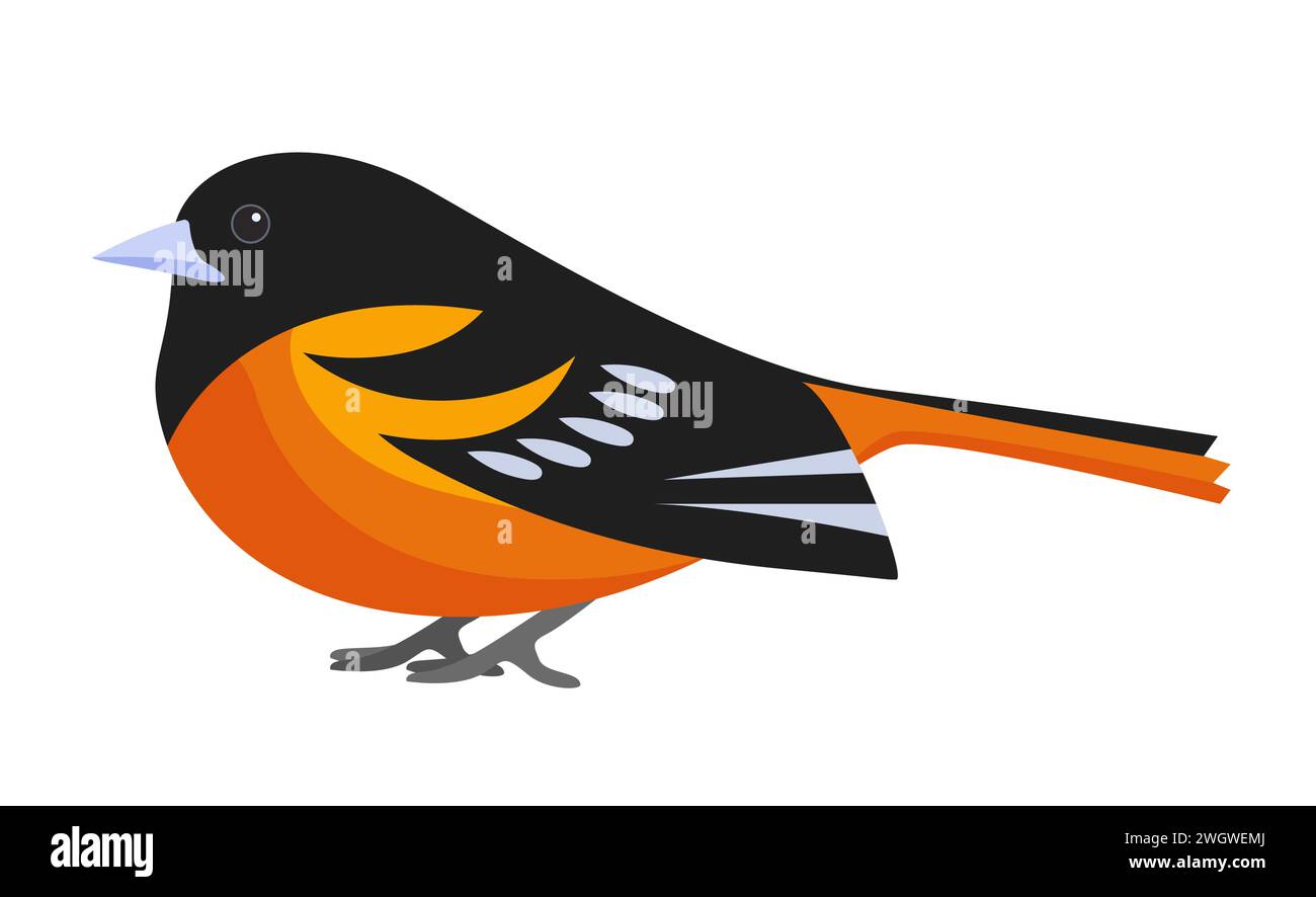 Kaffinchen, Fringilla Coelebs, männliche hoch sitzende kleine Waldvogel Vektor Illustration Stock Vektor