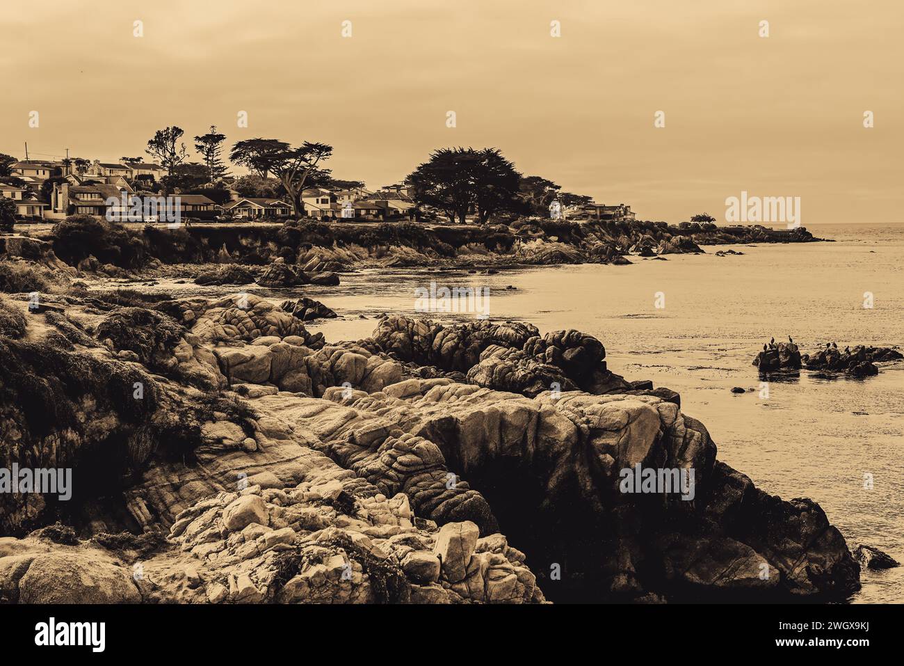 Alte Zeit Sepia Monterey California Coast Stockfoto