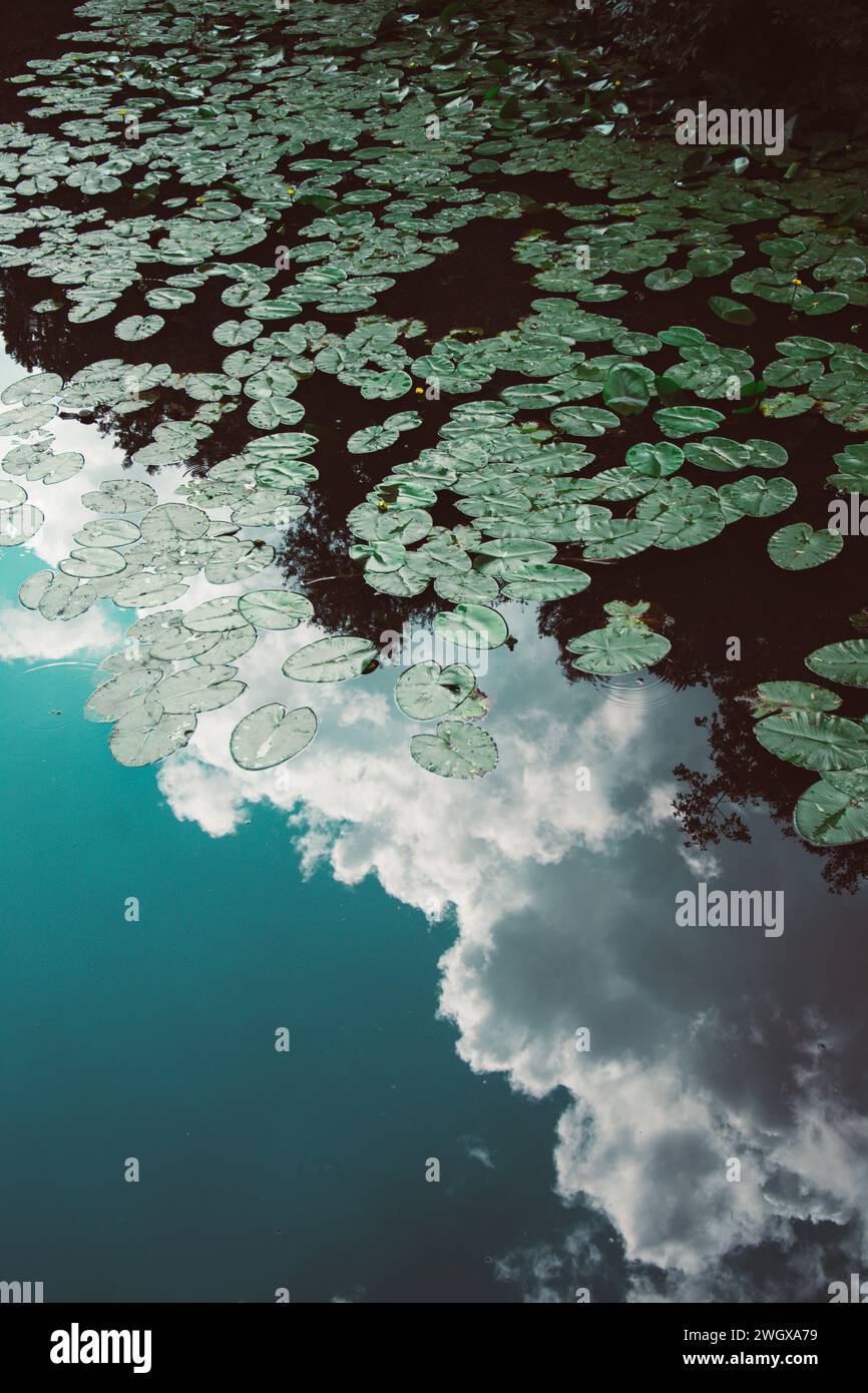 Wolken, die auf einer Wasseroberfläche reflektiert werden Stockfoto